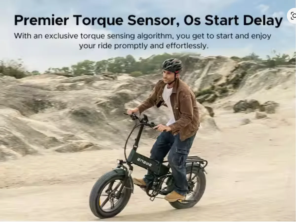 Vélo électrique ENGWE PRO - Moteur 250 W, batterie lithium 48 V 16 Ah, pneu large 20 pouces, vélo électrique tout terrain